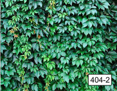 Профнастил с изображением листья плюща, артикул 404-2