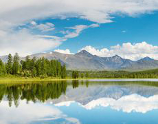 Панорама Алтай ширина 6.95 м 6 листов (Артикул 601)